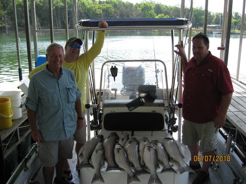 Nice Striped Bass